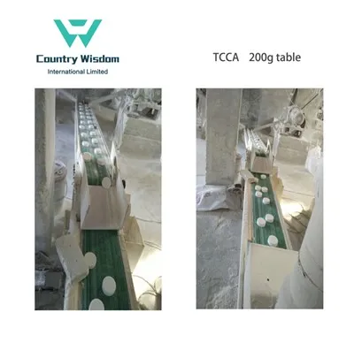 بہترین کوالٹی ٹی سی سی اے 90% کلورین 200 گرام گولیاں تیار کرنے والا